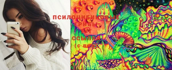 трава Абинск