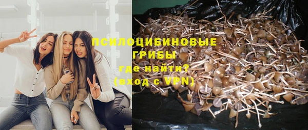 прущий лед Алзамай