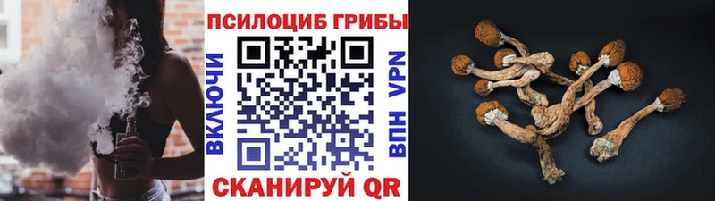 Галлюциногенные грибы Magic Shrooms Щёкино